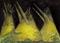 Art: Three Teepee's by Artist Marcine (Marcy) Dillon