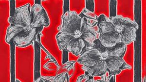 Detail Image for art Roses & Iron