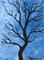 Art: birds take flight (sold) by Artist PJ Gorman