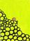Art: Sisyphus  ATC ACEO (sold) by Artist PJ Gorman