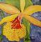 Art: Yellow Orchid miniature oil by Artist Barbara Haviland