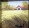 Art: Greens A Landscape  by Artist Barbara Haviland