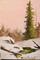 Art: A Snow Scene with Peach by Artist Barbara Haviland