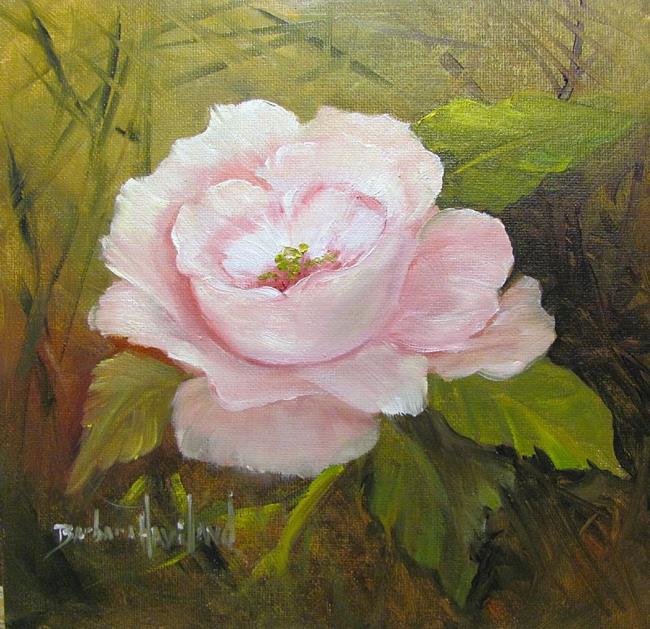 Art: Pink Rose by Artist Barbara Haviland