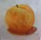 Art: Peach from my Yard by Artist Barbara Haviland