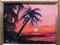 Art: Palm Sunset MIniature oil painting by Artist Barbara Haviland