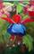 Art: Fuchsia  Miniature by Artist Barbara Haviland