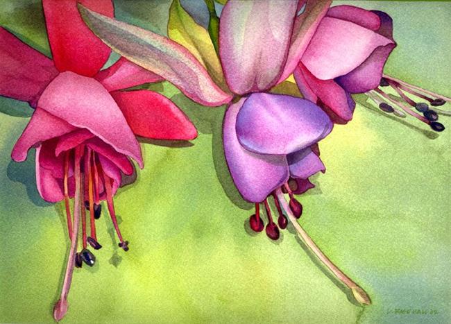 Art: Fuchsia from my Patio by Artist Lori Rase Hall