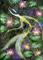 Art: Mermaid Swimming By Pink Lilies by Artist Hiroko Reaney