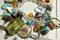 Art: Captured Fairy Altered Art Charm Bracelet by Artist Lisa  Wiktorek