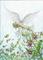Art: Flower Shower Angel (Comfrey Flower) by Artist Hiroko Reaney