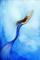 Art: Blue Fin by Artist Hiroko Reaney