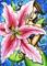 Art: Peek-A-Boo Lily Mermaid by Artist Hiroko Reaney