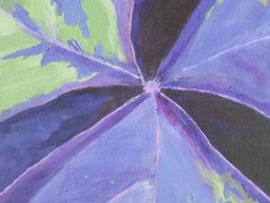 Detail Image for art Oxalis