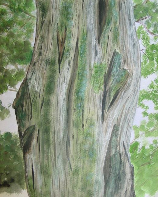 Art: Gnarled Tree II by Artist Donna Gill 