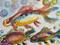 Art: Happy Fish by Artist Delilah Smith