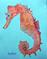 Art: Seahorse 2 - sold by Artist Ulrike 'Ricky' Martin
