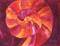 Art: Nautilus ( available in my ebay store ) by Artist Ulrike 'Ricky' Martin