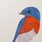 Art: Quilled Bluebird by Artist Sandra J. White
