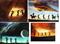 Art: Four Canvas Prints by Artist Kathy Hatt