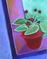 Art: Potted by Artist Elizabeth Fiedel