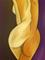 Art: Nude 27 by Artist Thomas C. Fedro