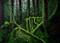 Art: Moss-covered roots by Artist Mats Eriksson