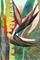 Art: My Personal Garden by Artist Judith A Brody