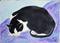 Art: Black & White Cat Sleeping (sold) by Artist Tracey Allyn Greene