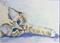 Art: Lynx Point Lounging by Artist Tracey Allyn Greene