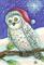 Art: SNOW OWL by Artist Susan Brack