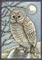 Art: OWL IN THE CEMETERY by Artist Susan Brack