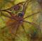 Art: Backyard Boogeyman by Artist Caroline Lassovszky Baker