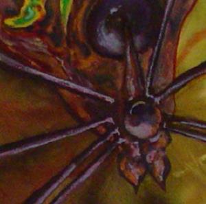 Detail Image for art Backyard Boogeyman Detail Image for art Backyard Boogeyman