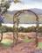 Art: Grape Arbor  by Artist Cynthia Schmidt