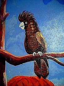 Detail Image for art Black Cockatoo