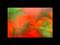 Art: BORN - sold by Artist Bonnie G Morrow