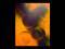 Art: SOMEDAY - sold by Artist Bonnie G Morrow
