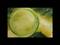 Art: I'VE BEEN SLIPPING - sold by Artist Bonnie G Morrow