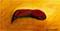 Art: ITALIAN FRYING PEPPER by Artist Bonnie G Morrow