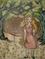 Art: Solitary Alice by Artist Chris Jeanguenat