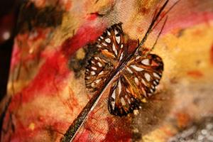 Detail Image for art Crticality 7