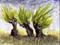 Art: Narrative Willows by Artist Gabriele Maurus