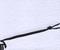 Art: LEASH, doggie 10 by Artist Gabriele Maurus