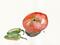 Art: Tomato and Jalapenos by Artist Gabriele Maurus