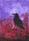 Art: Raven 11 by Artist Emily J White