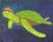 Art: Jon- Cartoon Aquarium Sea Turtle by Artist Emily J White