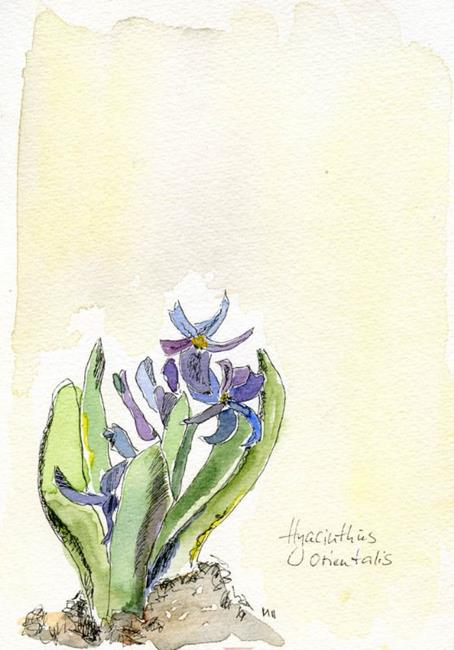 Art: Hyacinthus orientalis by Artist Gabriele Maurus
