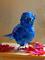 Art: Shamus, A Quirky Bluebird by Artist Alma Lee