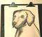 Art: weim study by Artist Jenny Doss